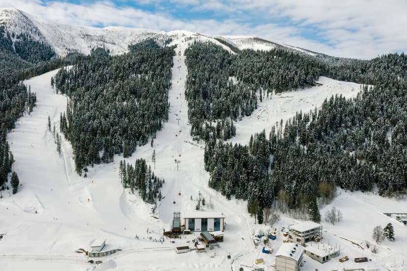 ski resort during winter